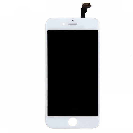 Product_Image