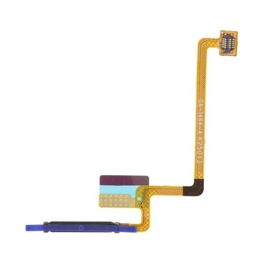 Product_Image