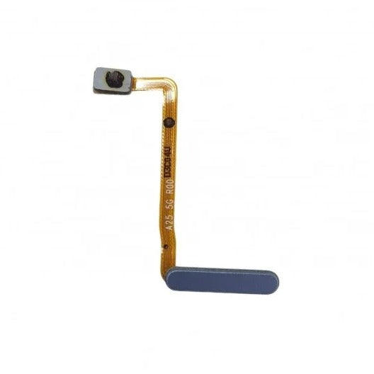 Product_Image