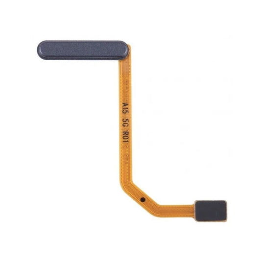 Product_Image